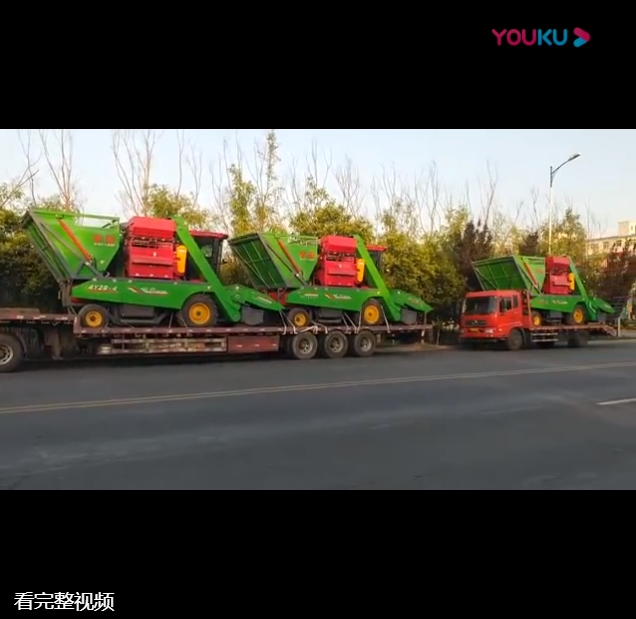山(shan)東五(wu)車連髮視頻