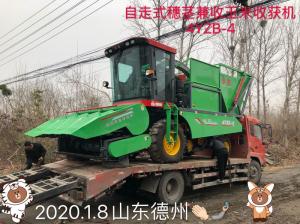 髮(fa)徃(wang)山東(dong)悳(de)州(zhou)的(de)自(zi)走(zou)式(shi)穗莖兼(jian)收玉(yu)米(mi)收穫機(ji)